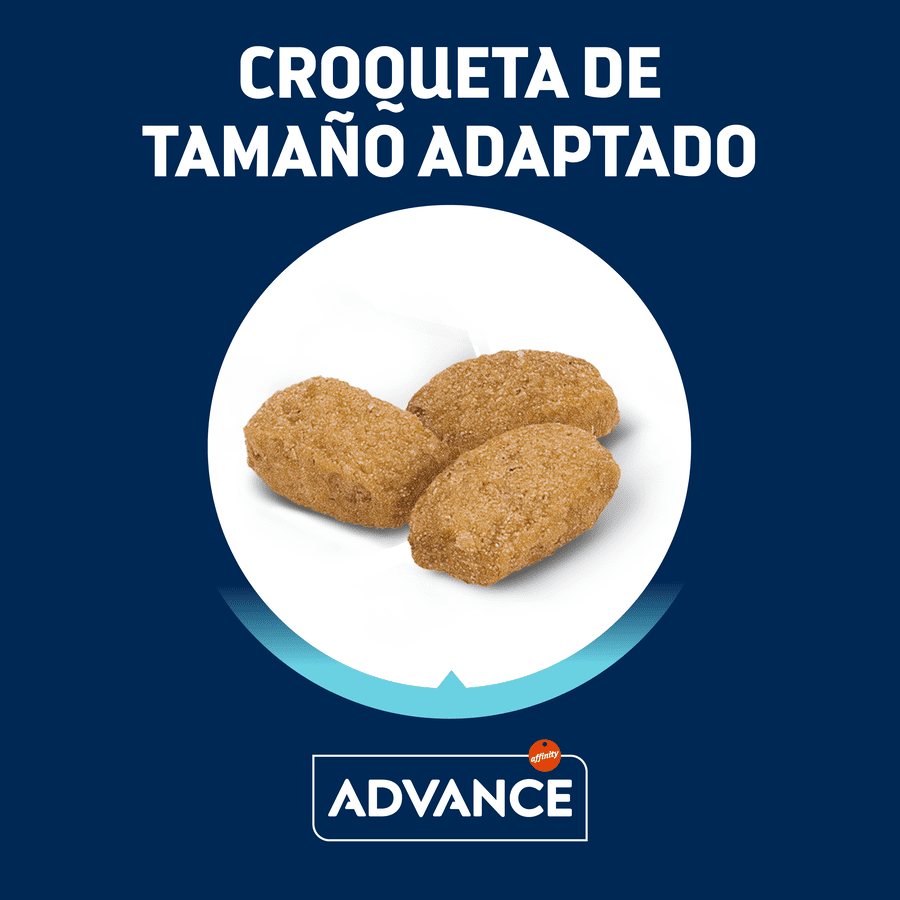 12 kg (10 + 2 &iexcl;gratis!) Advance Adult Sterilized Pavo y Cebada pienso para gatos, , large indicador imagen numero 2